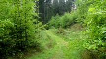  Blick auf die Wanderstrecke 